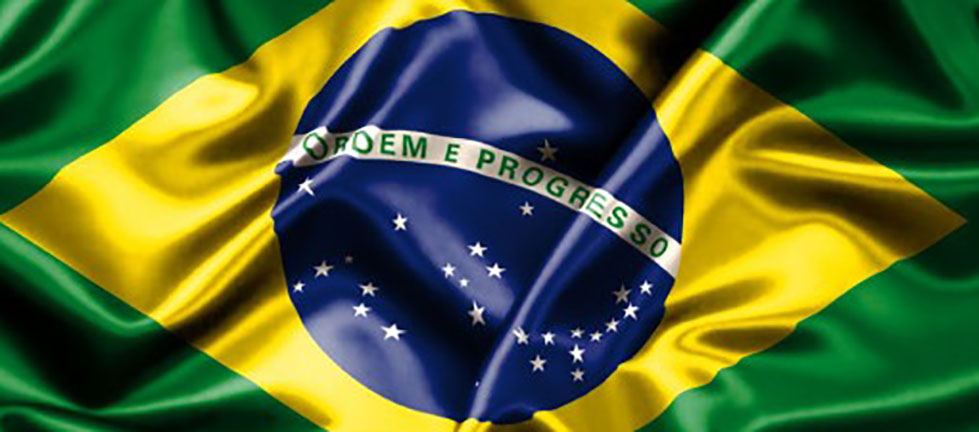 Brazilian flag