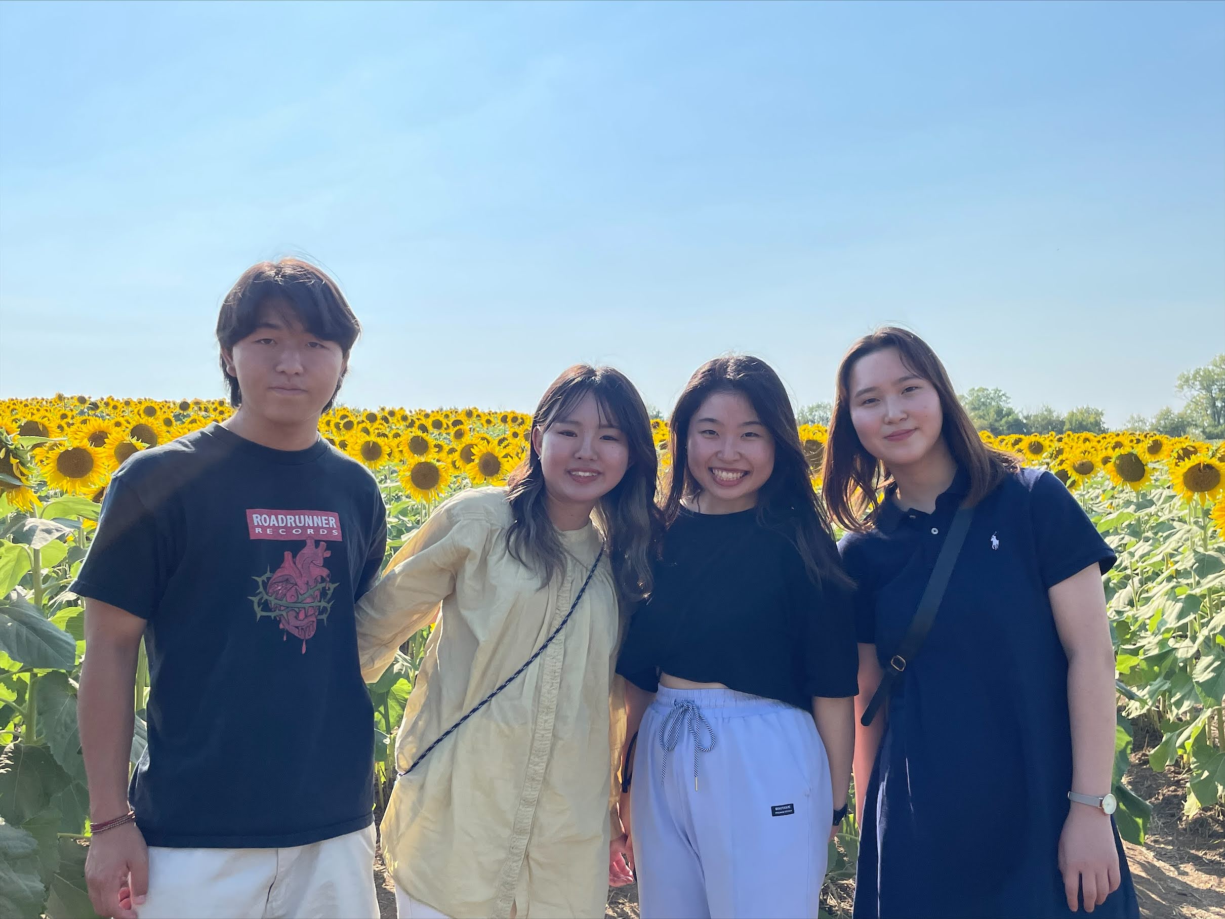 Kansai participants in a sunflower field